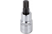 Bitspipe 1/2" M12 mm Spline 
